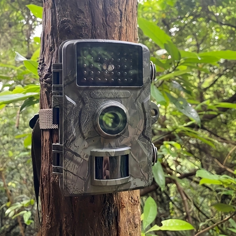 Camouflage trail camera attached to a tree in a forest setting