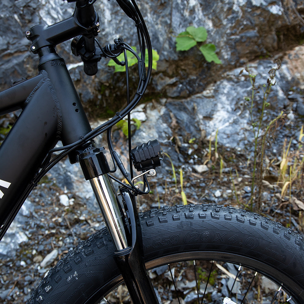 Heavy duty e-bike with 400lb load capacity Professional Electric Bike For Adults, 26 X 4.0 Inches Fat Tire | Axis-Dynamics
