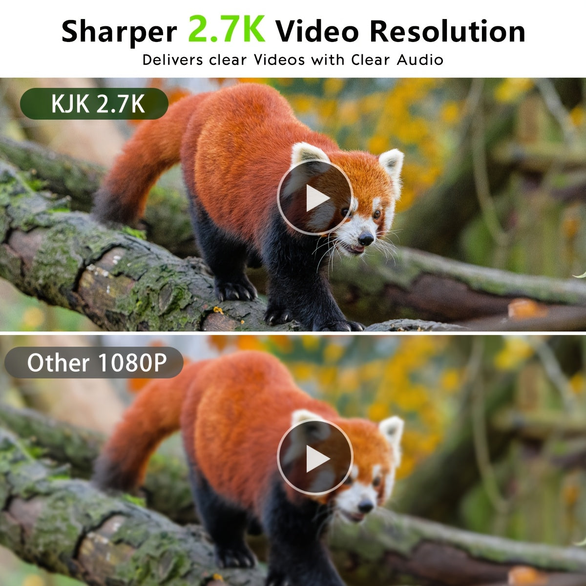 Red panda on a branch with 'Sharper 2.7K Video Resolution' text and video play buttons.