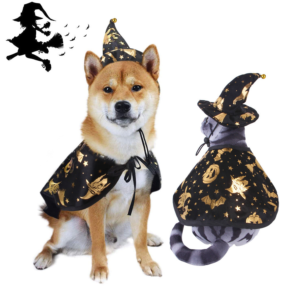 Two dogs wearing Halloween-themed costumes with witch hats and black and gold patterns.