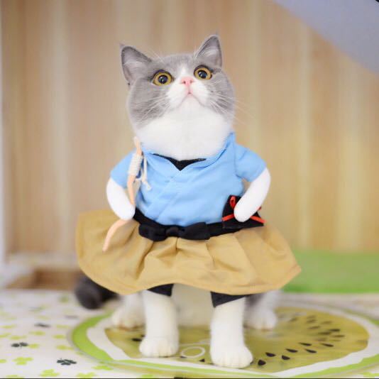 Axis-Dynamics | Cute Pet costumes