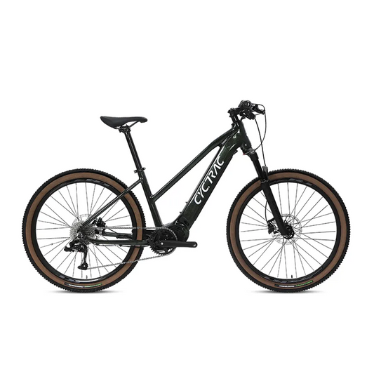 EC1 - ELECTRIC ALLOY BIKE