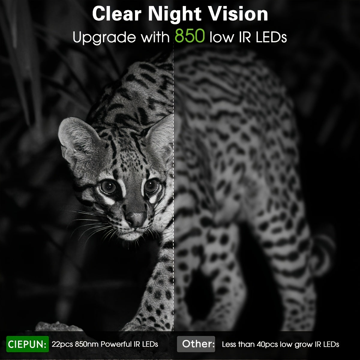 Black and white image of a leopard with text about night vision upgrade and LED count.