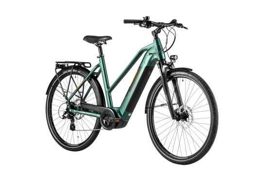 Trenoli Livenza Sportivo T Trekking E-Bike