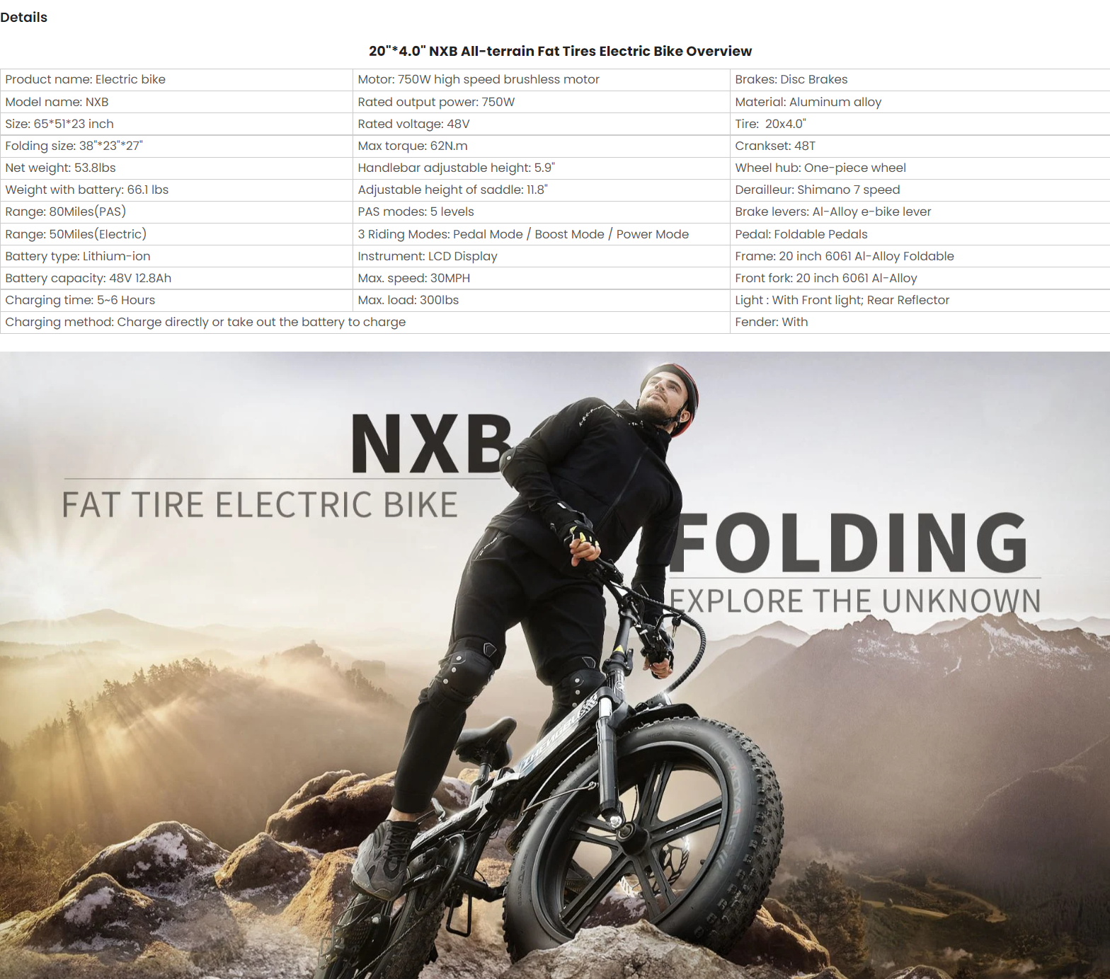 Electric bikes for hilly terrain with strong torque Electric Bike 750W Motor Fat Tire Ebike with Samsung 48V Battery | Axis-Dynamics