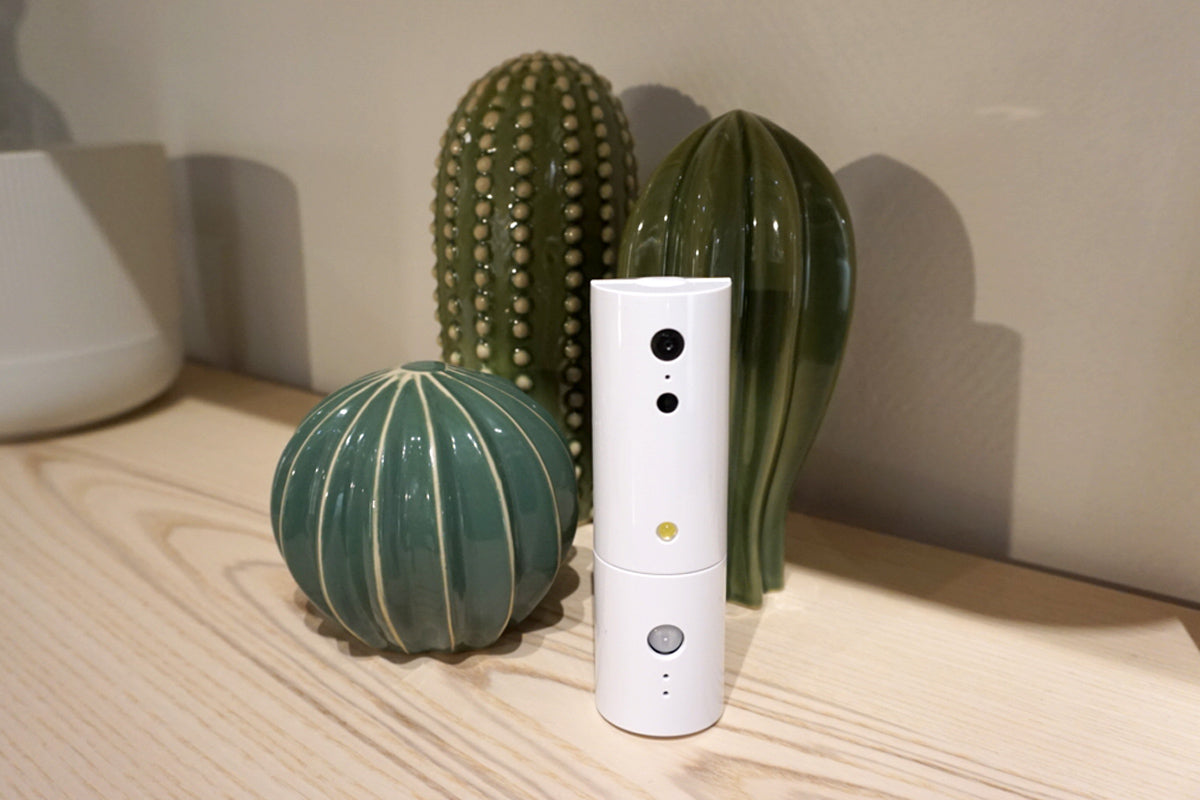 White electronic device on a wooden surface with cacti in the background