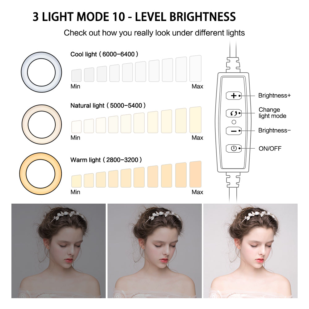 Light mode 10-level brightness chart with illustrations of a woman's face under different light conditions.