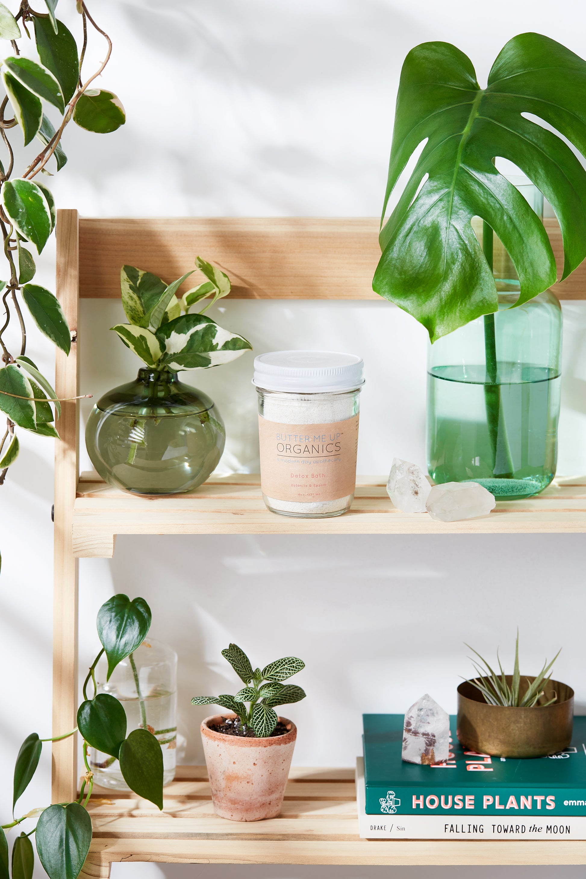 Wooden shelf with various house plants and a candle on a white background. deep hydrating body butter for winter dry skin and online store. Axis-Dynamics